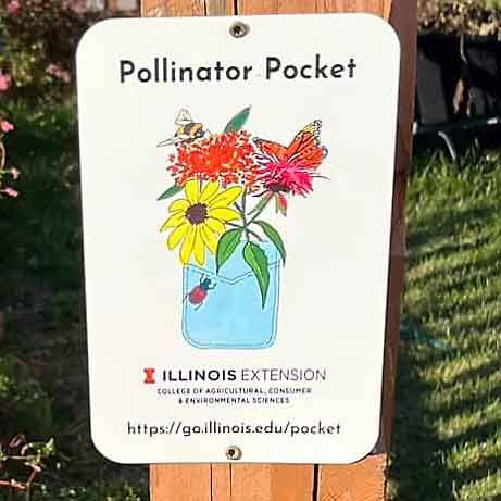 A sign of pollinator pocket with a drawing